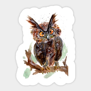 Little Owl Sticker